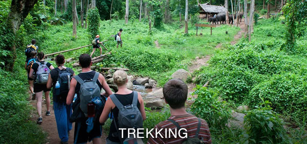 Trekking